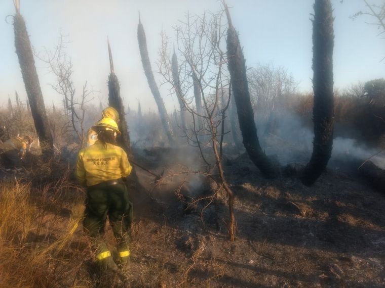 La zona afectada quedó en guardia de cenizas.