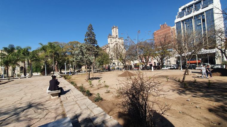 Indignante: robaron las plantas de la remozada Plaza Colón