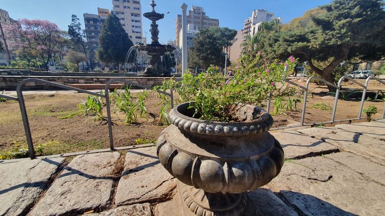 Indignante: robaron las plantas de la remozada Plaza Colón