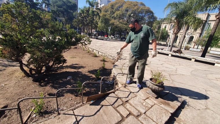 Indignante: robaron las plantas de la remozada Plaza Colón