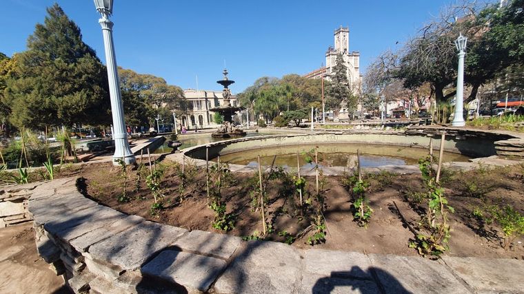 Indignante: robaron las plantas de la remozada Plaza Colón