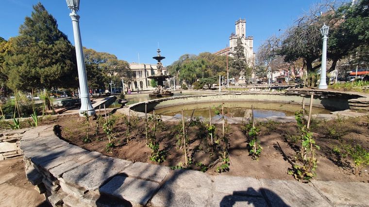 FOTO: Indignante: robaron las plantas de la remozada Plaza Colón