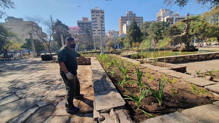 Indignante: robaron las plantas de la remozada Plaza Colón