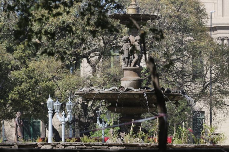 Indignante: robaron las plantas de la remozada Plaza Colón