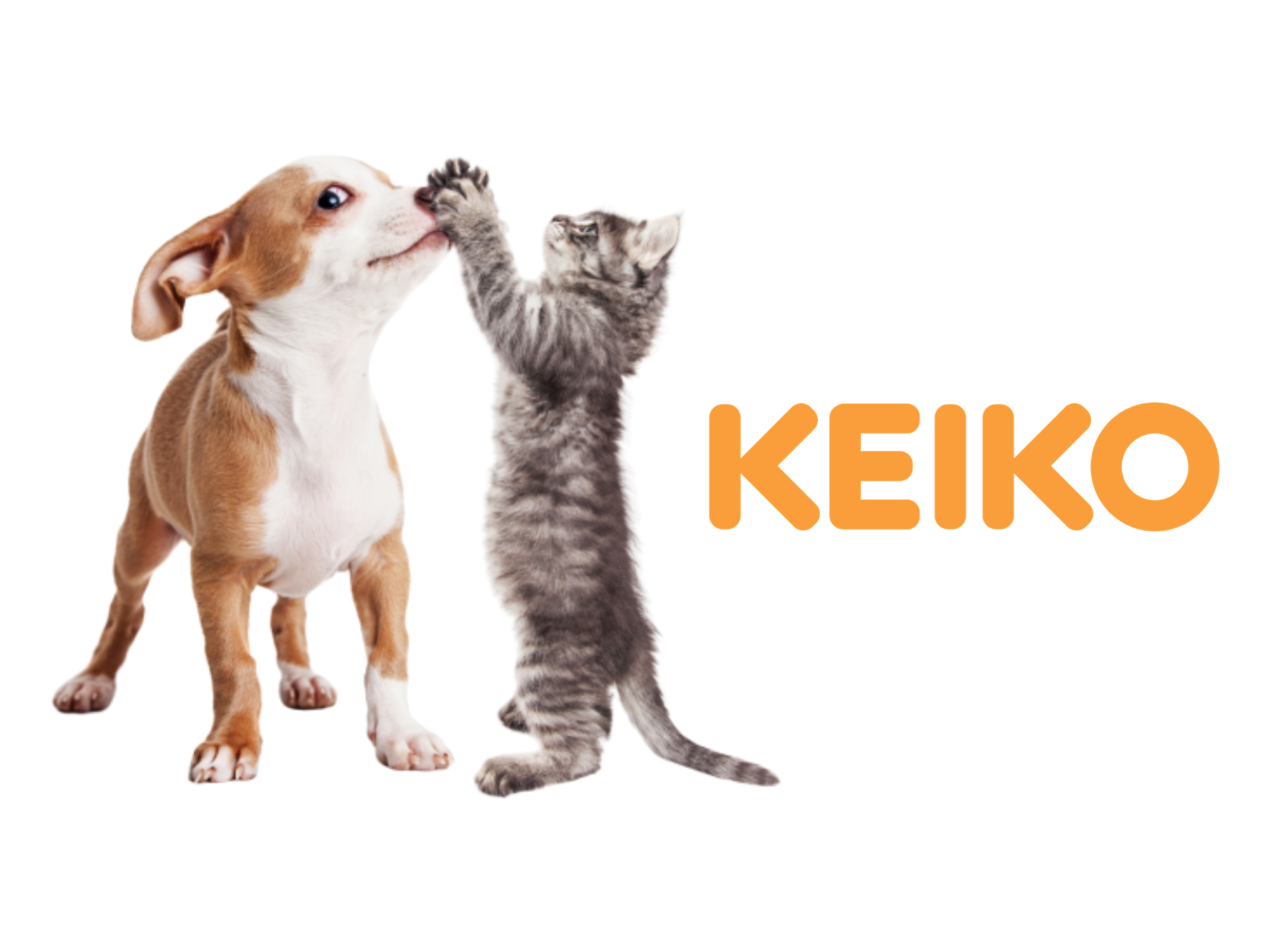 Keiko, alimento balanceado para cada etapa de tus mascotas