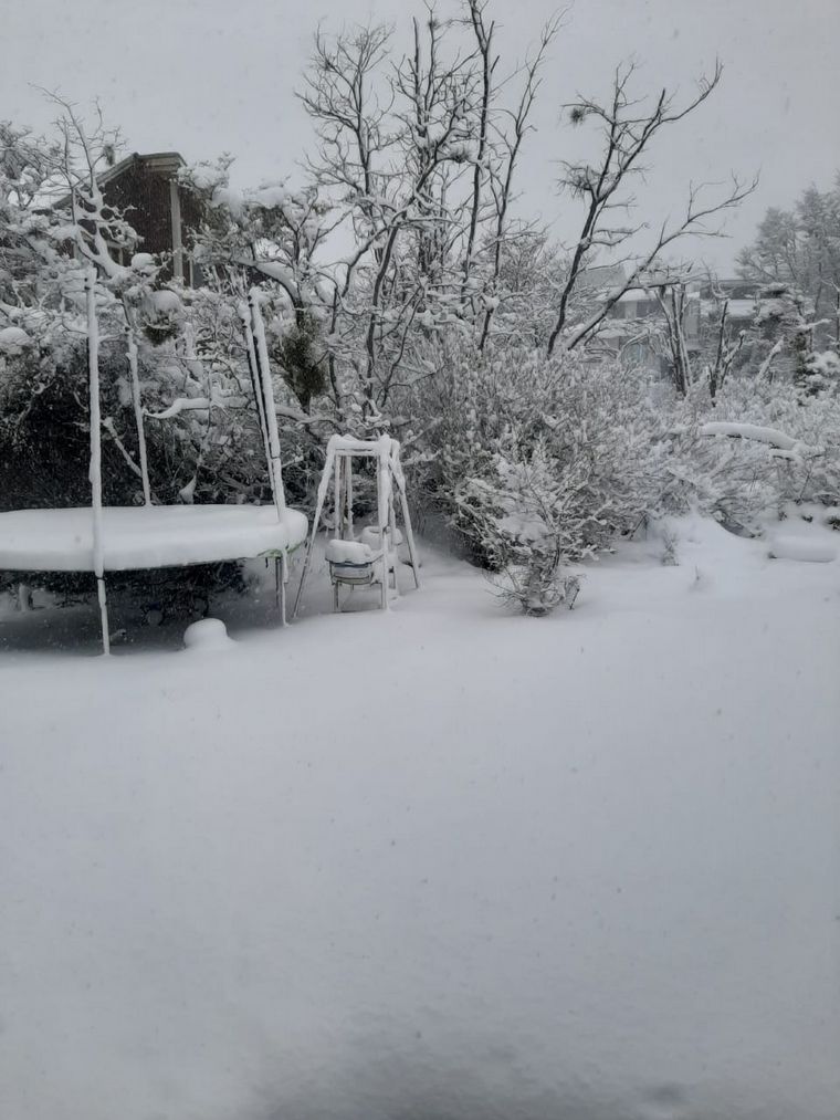 FOTO: El meteorólogo estimó una acumulación de diez centímetros de nieve.