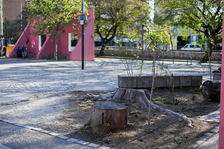 Realizaron obras de mejoramiento en el Paseo de las Artes.