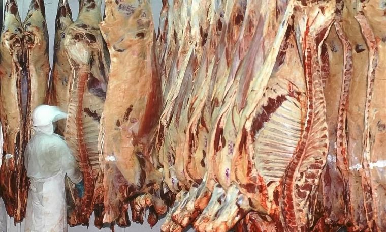 "El alto nivel de faena no compensa las pérdidas", informaron desde FIFRA.