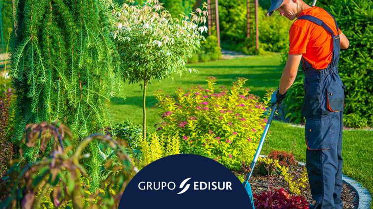 Claves para preparar el jardín en primavera - Grupo Edisur - Cadena 3