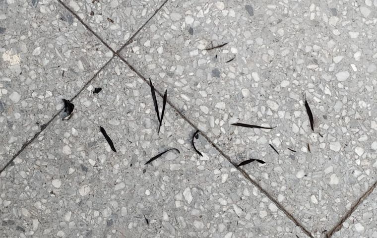 Rosario cubierta de humo