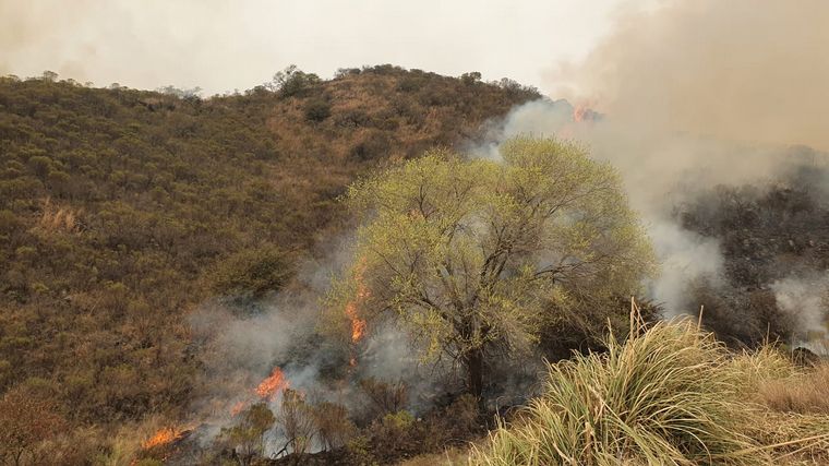 Incendios en las Sierras.
