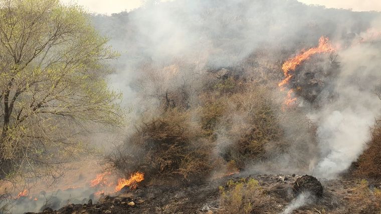Incendios en las Sierras.