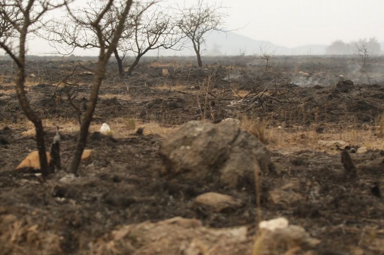 Incendios en las Sierras.