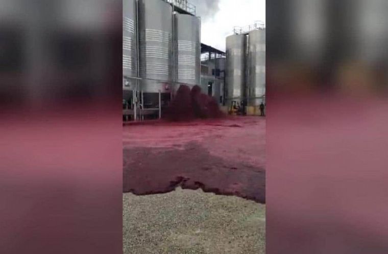 Una bodega española perdió unos 50 mil litros de vino tinto.