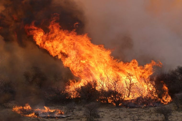 FOTO: Incendio en la zona de Falda del Carmen