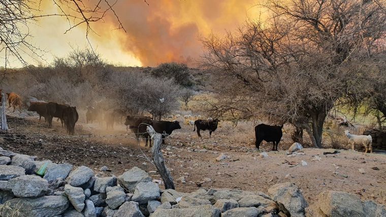El fuego continúa avanzando en las sierras cordobesas.