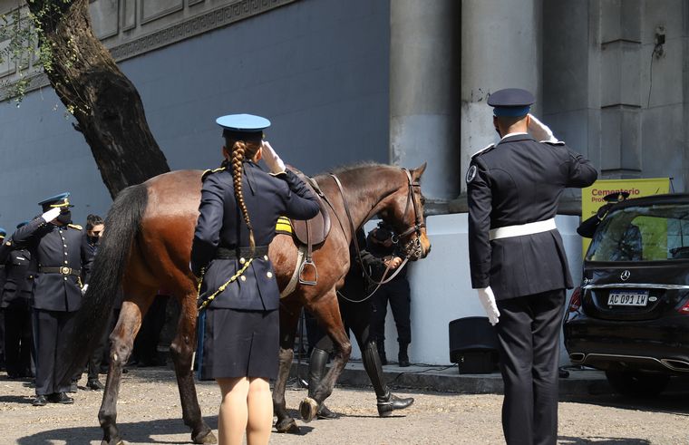 Místico, el caballo del policía de la federal asesinado en Palermo