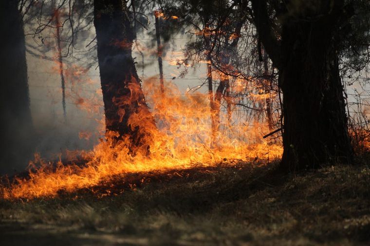 Incendio en la zona de Falda del Carmen