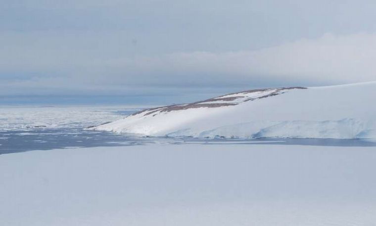 El deshielo en la Antártida dejó al descubierto un cementerio de pingüinos