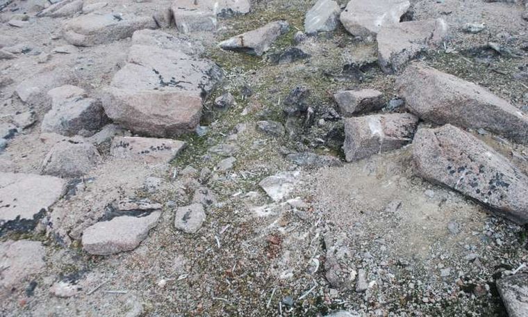 El deshielo en la Antártida dejó al descubierto un cementerio de pingüinos