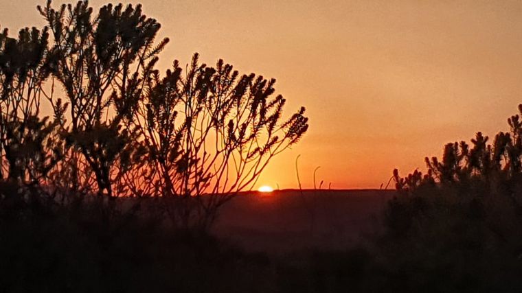 Panorama desolador tras los incendios en camino a Los Gigantes, ruta 28
