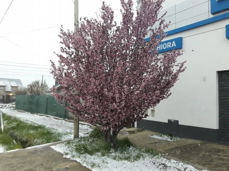 Una nevada sorprendió a Bariloche en primavera