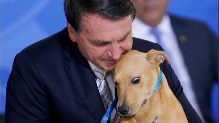 Un perro firmó una ley contra el maltrato animal en Brasil.