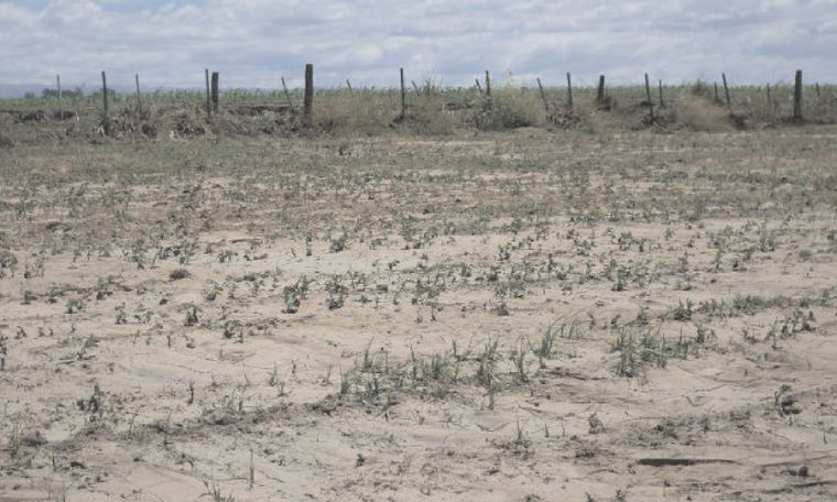 Córdoba atraviesa el período más seco de los últimos 65 años.