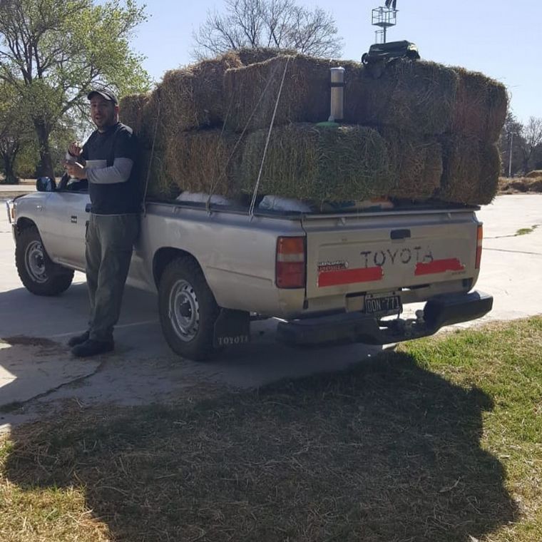 Veterinarios contra el fuego
