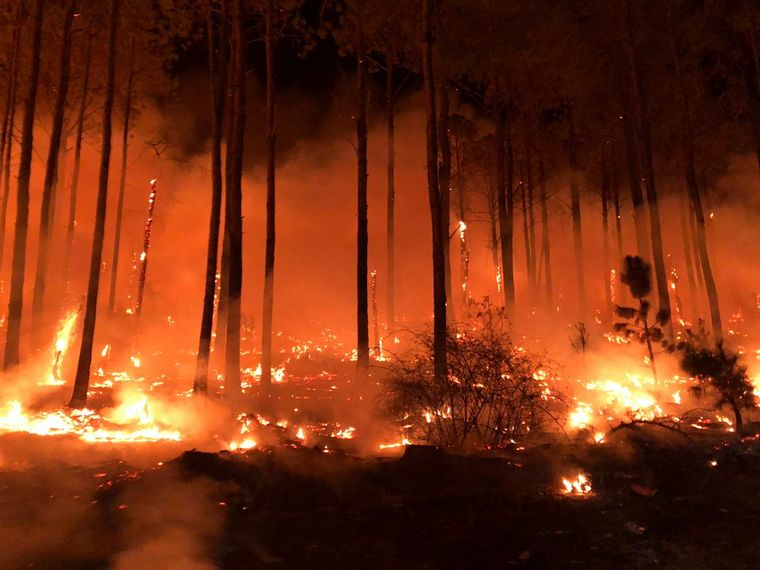 FOTO: Incendios en Alpa Corral