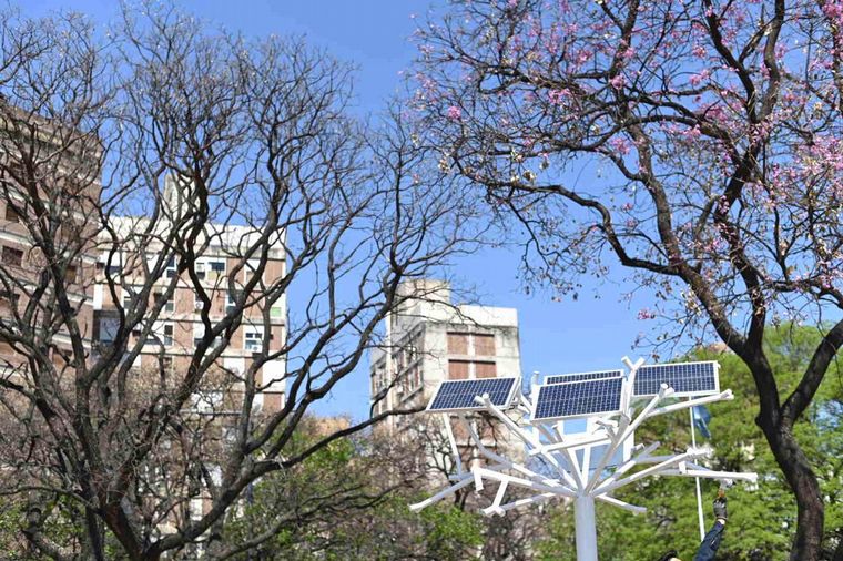 Instalaron el primer “árbol solar” de la ciudad de Córdoba