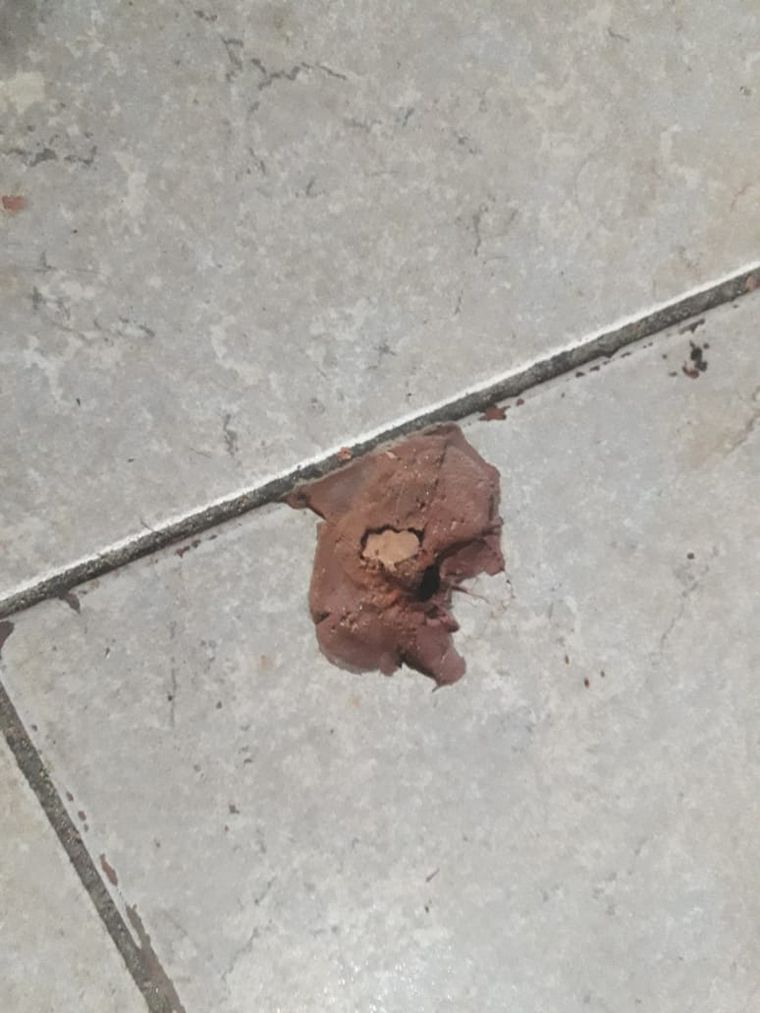 Balearon un local de comidas rápidas en un violento robo en Santa Fe