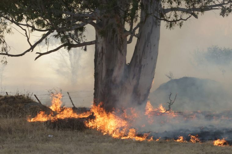 Bomberos combaten un foco camino a Carlos Paz.
