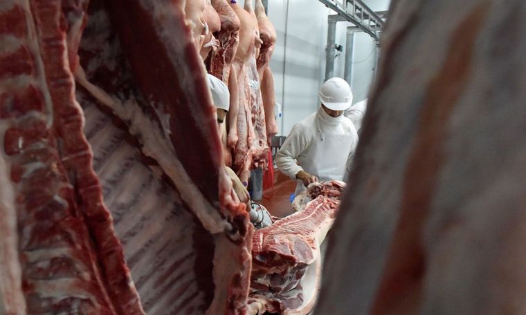 FIFRA pide políticas activas que alienten las inversiones.