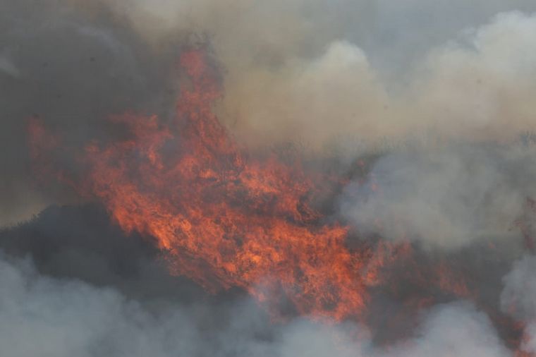 FOTO: El fuego azotó el lunes por la tarde la zona de Los Cocos.