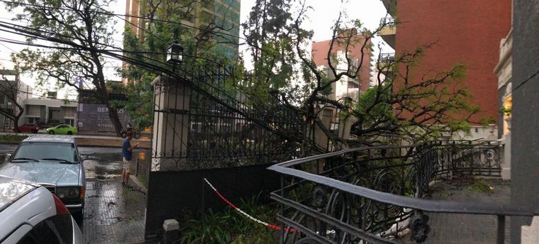 Árboles caídos, una postal de la tormenta en Santa Fe