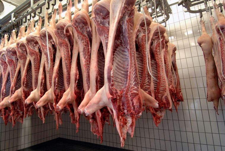 La triquinosis se transmite por la ingesta de carne de cerdo cruda y contaminada.