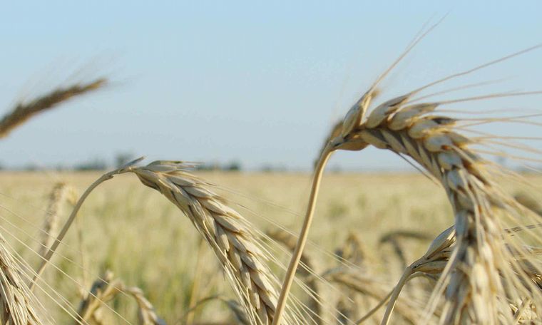 Llegaron las lluvias y se desactiva el bloqueo seco.