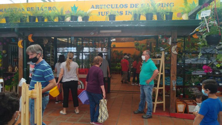 Jardinería en casa, la actividad que se impuso en cuarentena