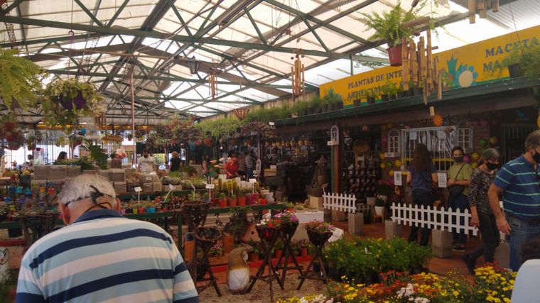 Jardinería en casa, la actividad que se impuso en cuarentena