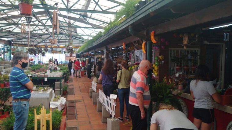 Jardinería en casa, la actividad que se impuso en cuarentena