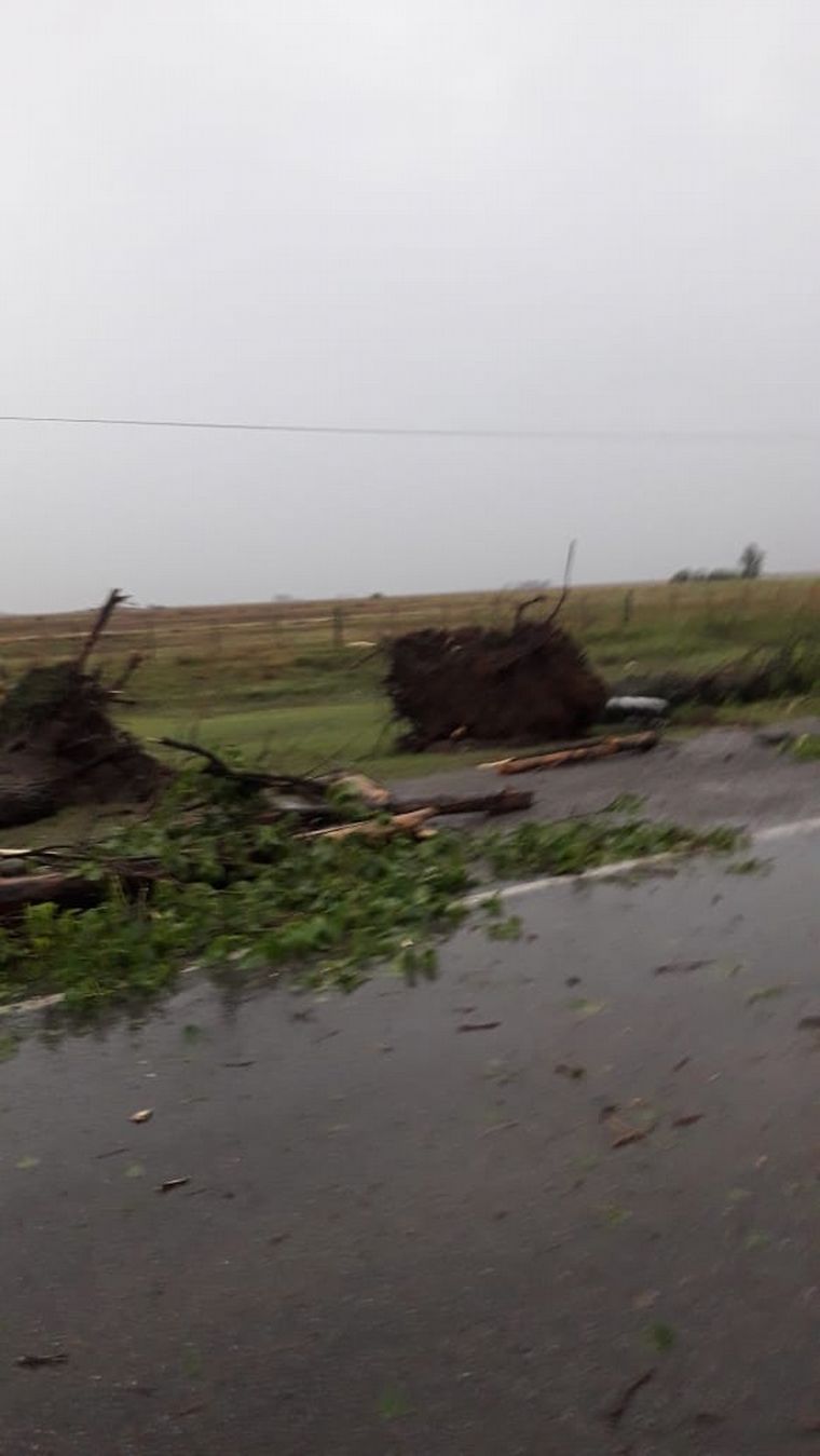 Temporal en Cintra, Córdoba