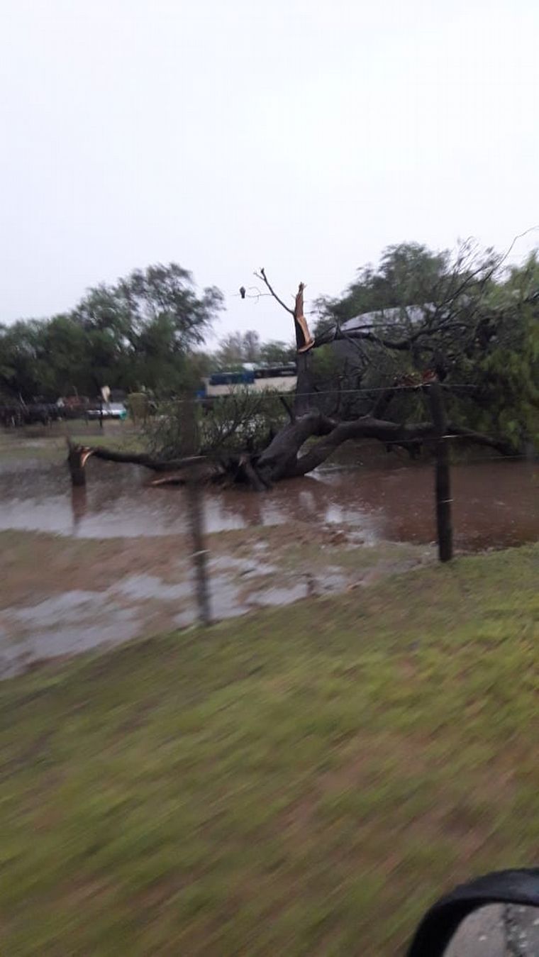 Temporal en Cintra, Córdoba