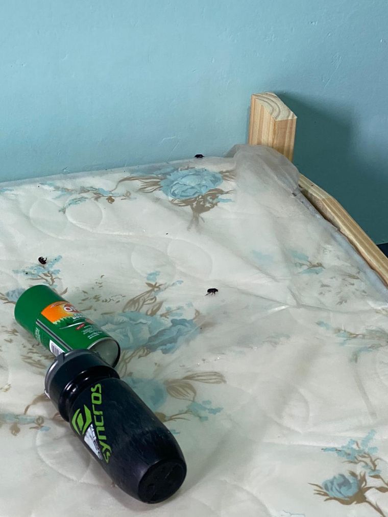 El centro de aislamiento