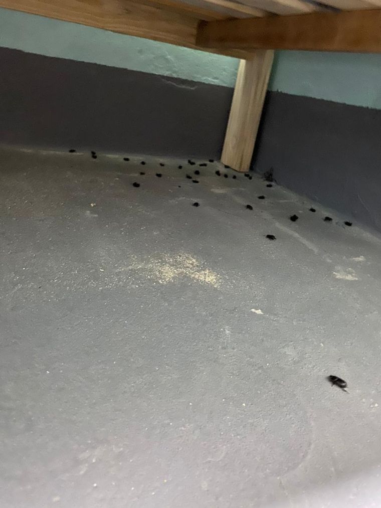 El centro de aislamiento