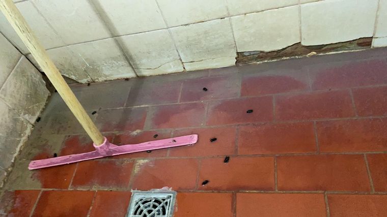 El centro de aislamiento