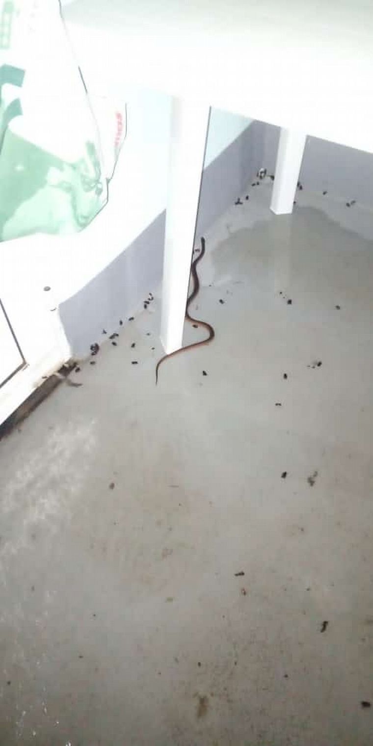 El centro de aislamiento