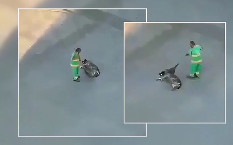 La actitud de un barrendero con un perro callejero se hace viral