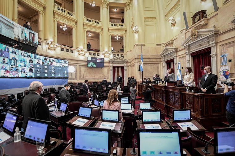 Varios senadores advirtieron sobre la necesidad de reformar la Ley 26.093.