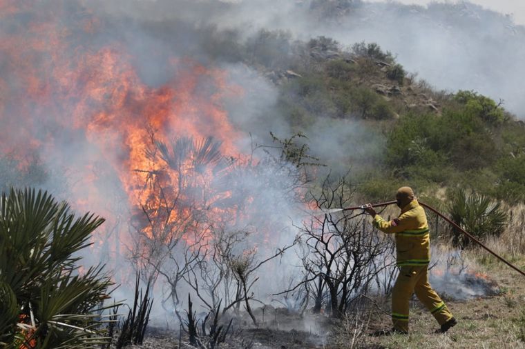 FOTO: Está contenido el incendio forestal cerca de San Pedro Norte.